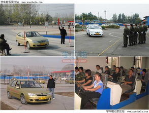 石家莊大眾駕校 專業的機動車駕駛員培訓伙伴